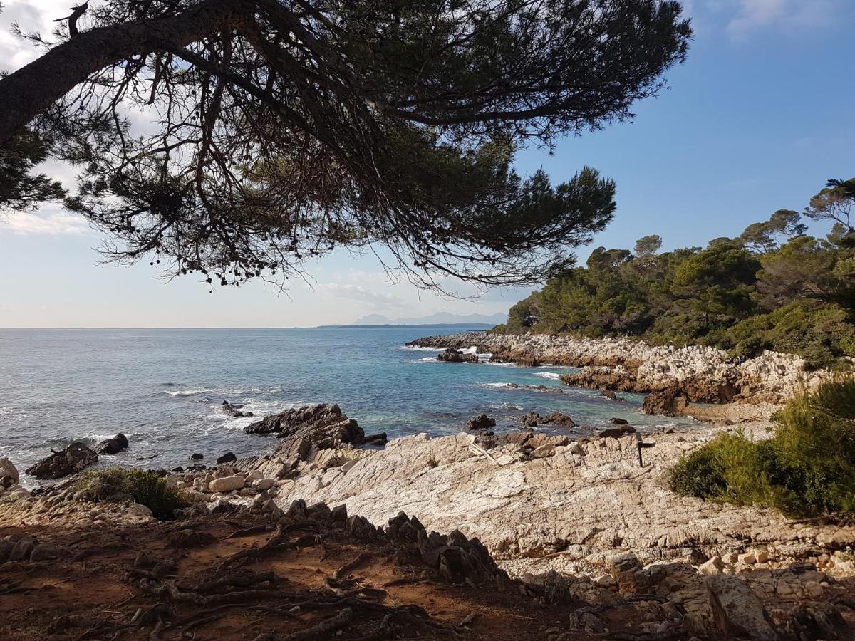 Penthouse Antibes Apartment מראה חיצוני תמונה